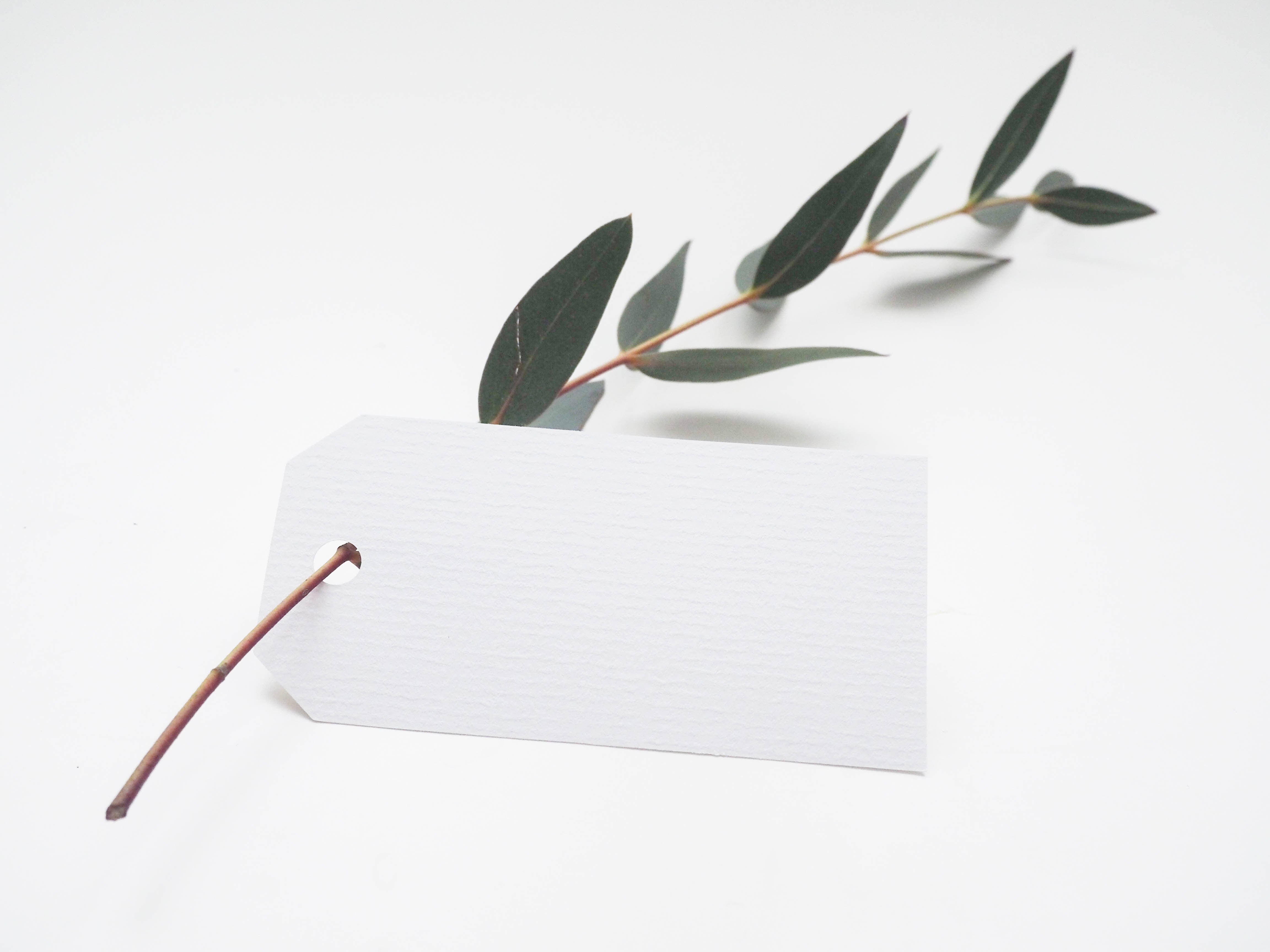 5 Steps to a more Sustainable Wardrobe